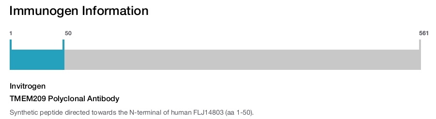 TMEM209 Polyclonal Antibody