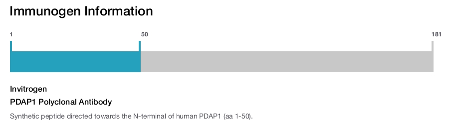 PDAP1 Polyclonal Antibody
