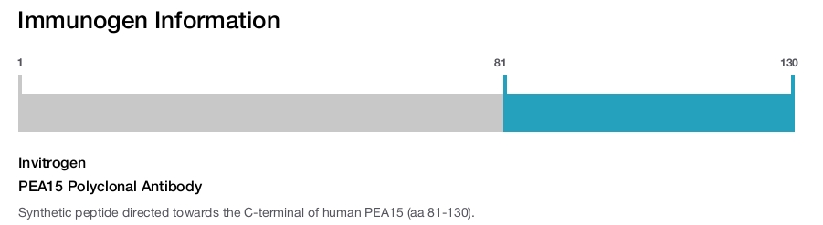 PEA15 Polyclonal Antibody
