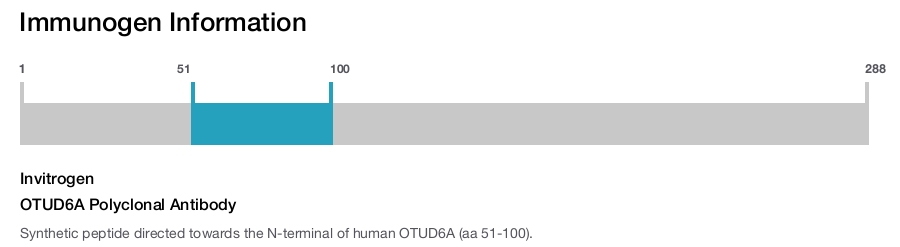 OTUD6A Polyclonal Antibody