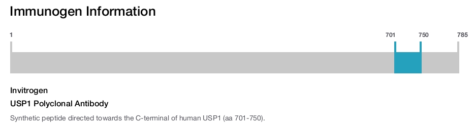 USP1 Polyclonal Antibody