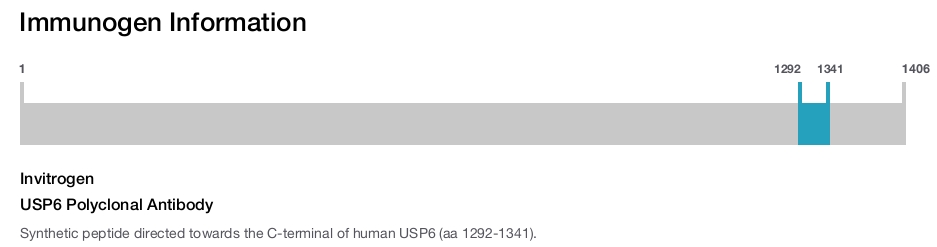 USP6 Polyclonal Antibody