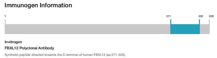 FBXL12 Polyclonal Antibody