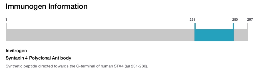 Syntaxin 4 Polyclonal Antibody