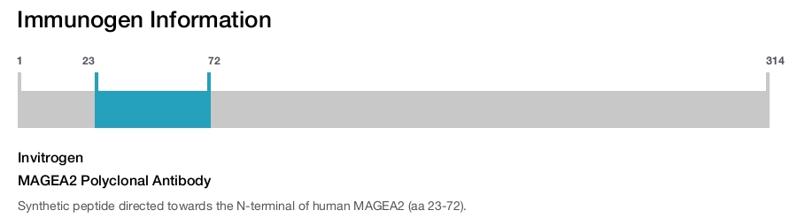 MAGEA2 Polyclonal Antibody