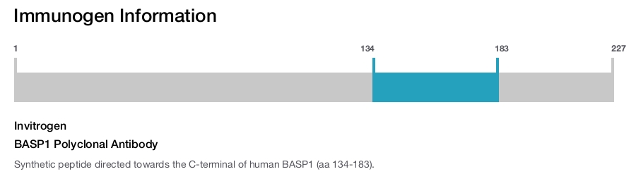 BASP1 Polyclonal Antibody