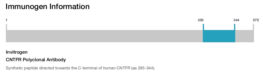 CNTFR Polyclonal Antibody