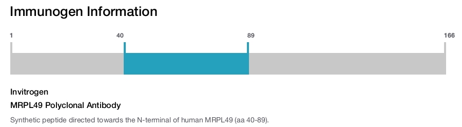 MRPL49 Polyclonal Antibody