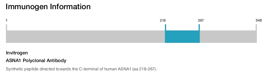 ASNA1 Polyclonal Antibody