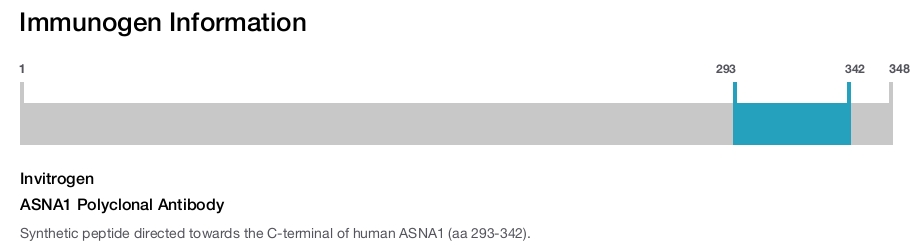 ASNA1 Polyclonal Antibody
