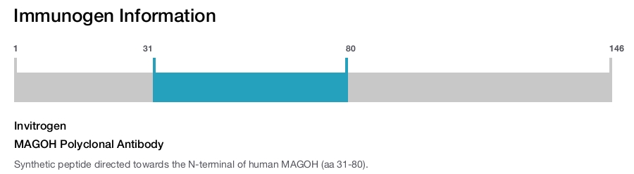 MAGOH Polyclonal Antibody