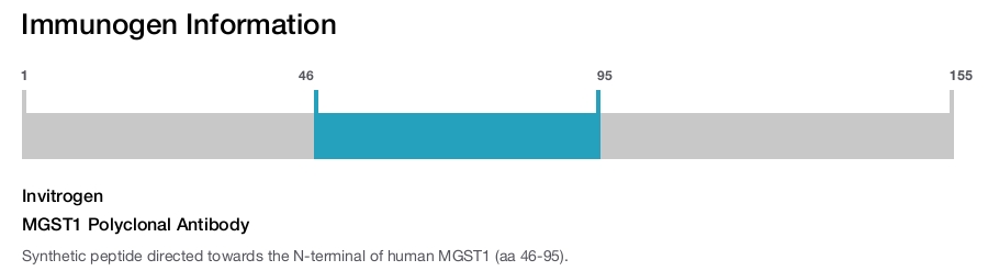 MGST1 Polyclonal Antibody