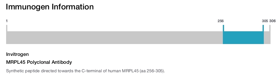 MRPL45 Polyclonal Antibody