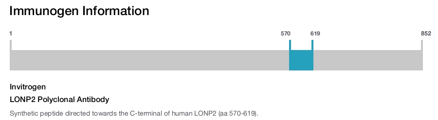 LONP2 Polyclonal Antibody