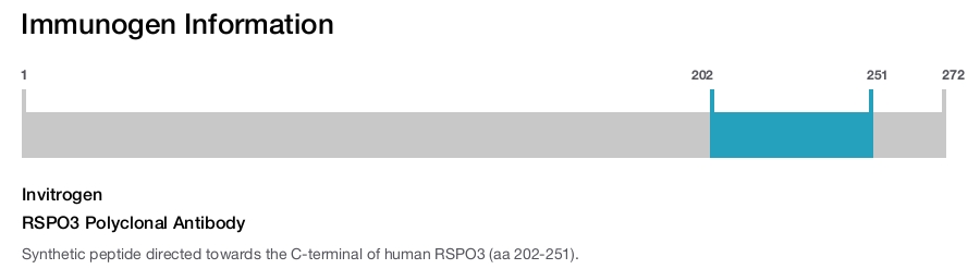 RSPO3 Polyclonal Antibody