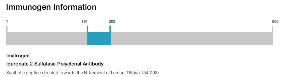 Iduronate 2 Sulfatase Polyclonal Antibody