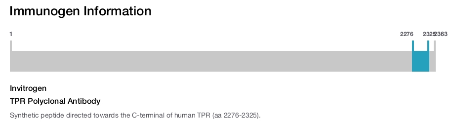 TPR Polyclonal Antibody