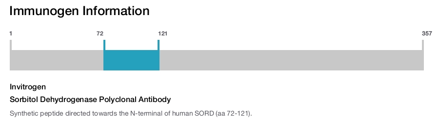 Sorbitol Dehydrogenase Polyclonal Antibody