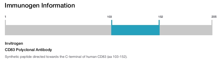 CD83 Polyclonal Antibody