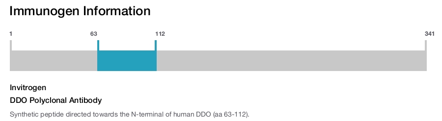 DDO Polyclonal Antibody