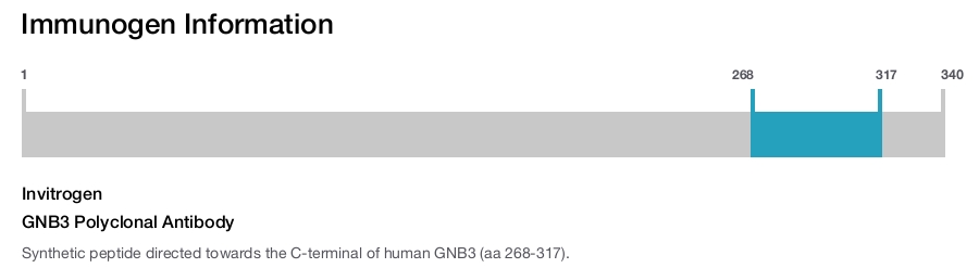 GNB3 Polyclonal Antibody