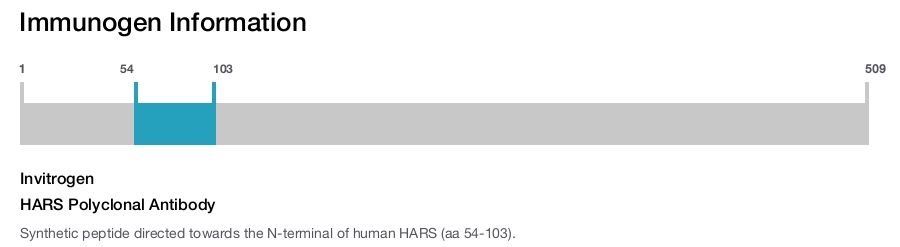HARS Polyclonal Antibody
