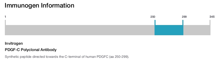 PDGF-C Polyclonal Antibody