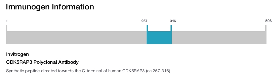 CDK5RAP3 Polyclonal Antibody