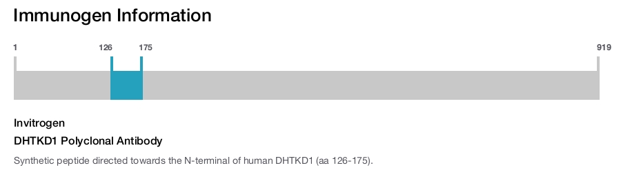 DHTKD1 Polyclonal Antibody