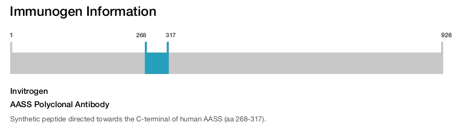 AASS Polyclonal Antibody