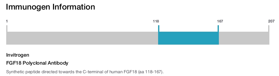 FGF18 Polyclonal Antibody
