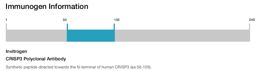 CRISP3 Polyclonal Antibody