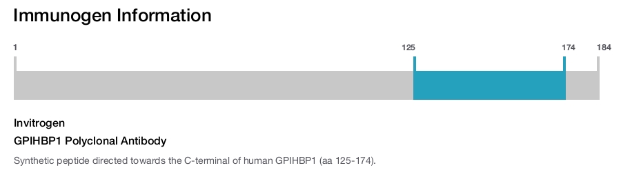 GPIHBP1 Polyclonal Antibody