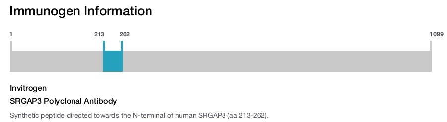 SRGAP3 Polyclonal Antibody