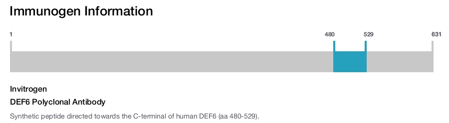 DEF6 Polyclonal Antibody