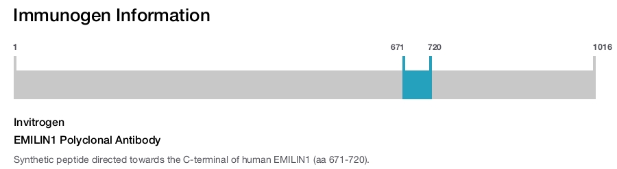 EMILIN1 Polyclonal Antibody