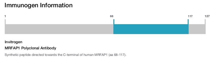 MRFAP1 Polyclonal Antibody