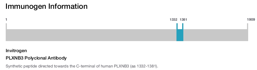 PLXNB3 Polyclonal Antibody