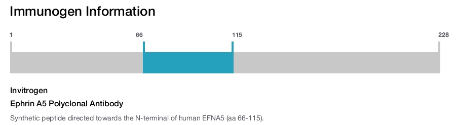 Ephrin A5 Polyclonal Antibody