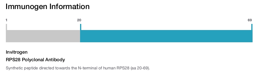 RPS28 Polyclonal Antibody