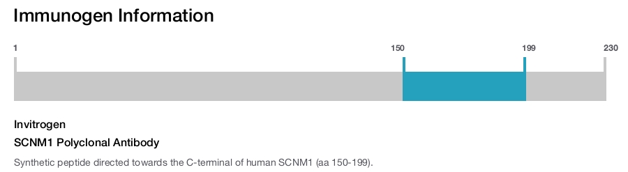 SCNM1 Polyclonal Antibody