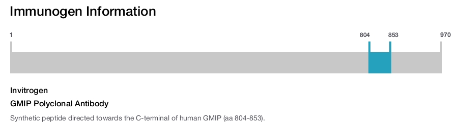 GMIP Polyclonal Antibody