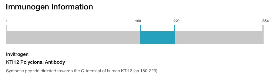 KTI12 Polyclonal Antibody