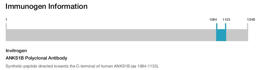 ANKS1B Polyclonal Antibody
