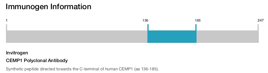 CEMP1 Polyclonal Antibody