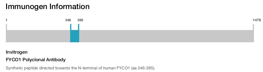 FYCO1 Polyclonal Antibody