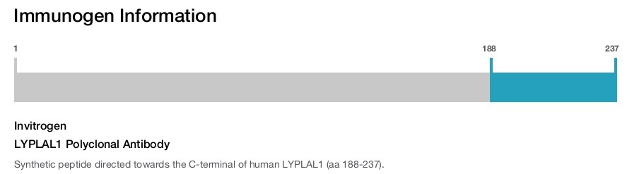 LYPLAL1 Polyclonal Antibody