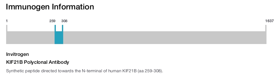 KIF21B Polyclonal Antibody
