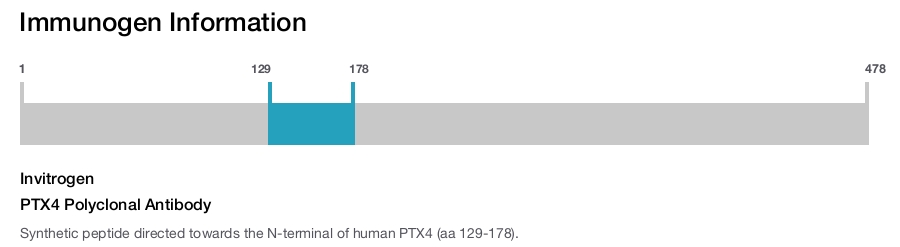 PTX4 Polyclonal Antibody