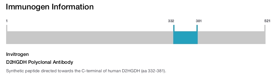 D2HGDH Polyclonal Antibody